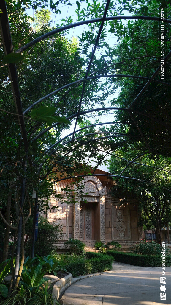 林荫下的老式建筑