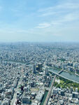 高空俯瞰城市全景