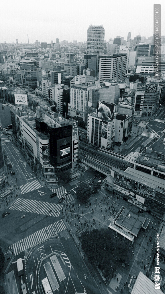 黑白城市高空俯瞰全景
