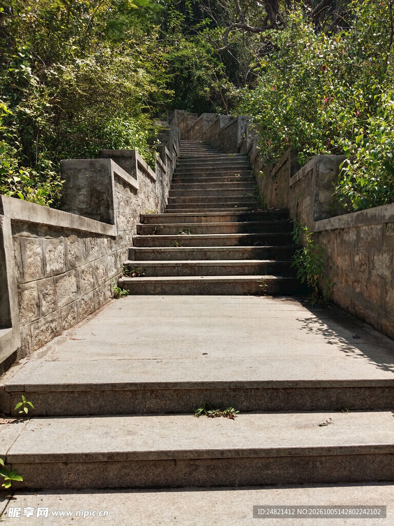 林荫石阶步道