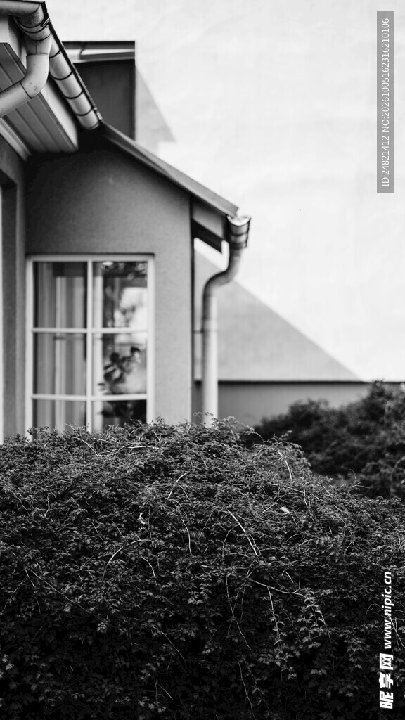 黑白郊野小屋风光