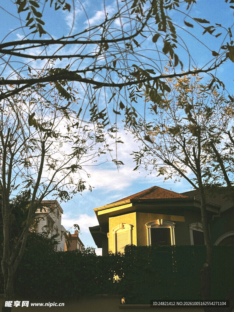 晴空下树影掩映的小屋
