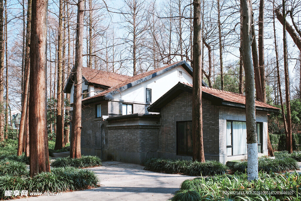林间红顶小屋