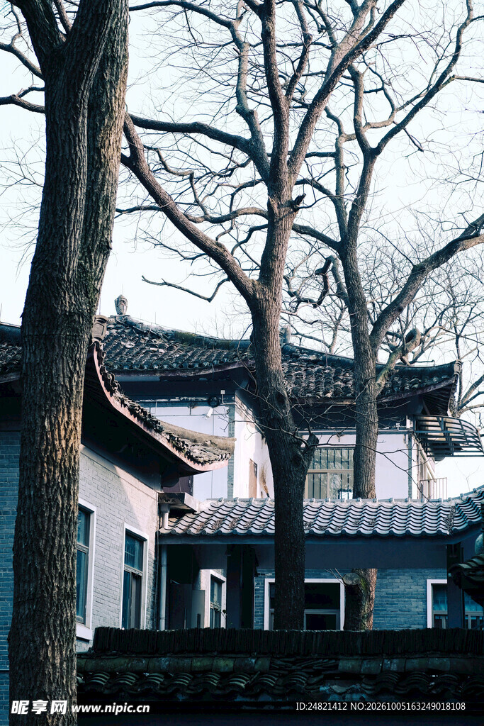 树影掩映中式古建筑