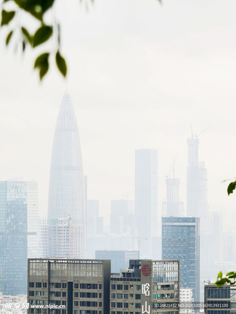 雾天城市高楼远景