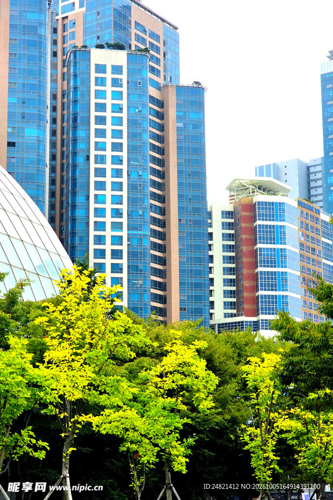 城市现代高楼景观
