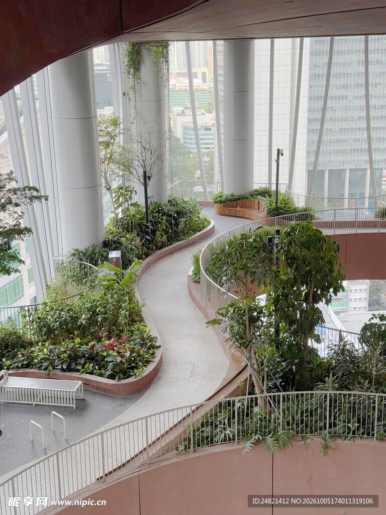 室内中庭绿植步道景观