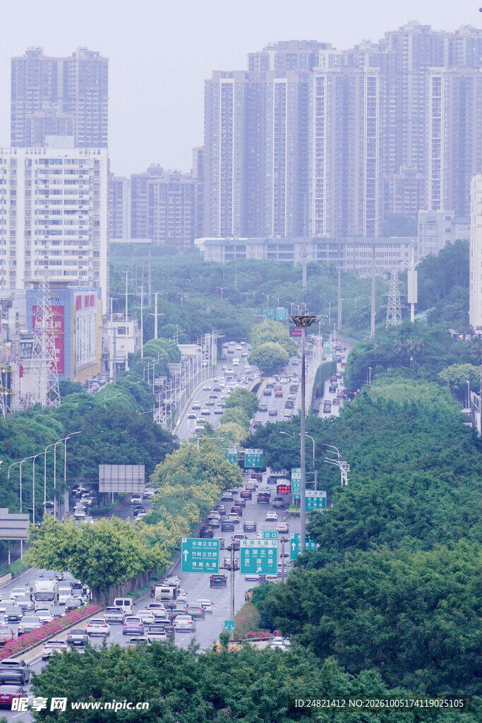 雾中城市街景