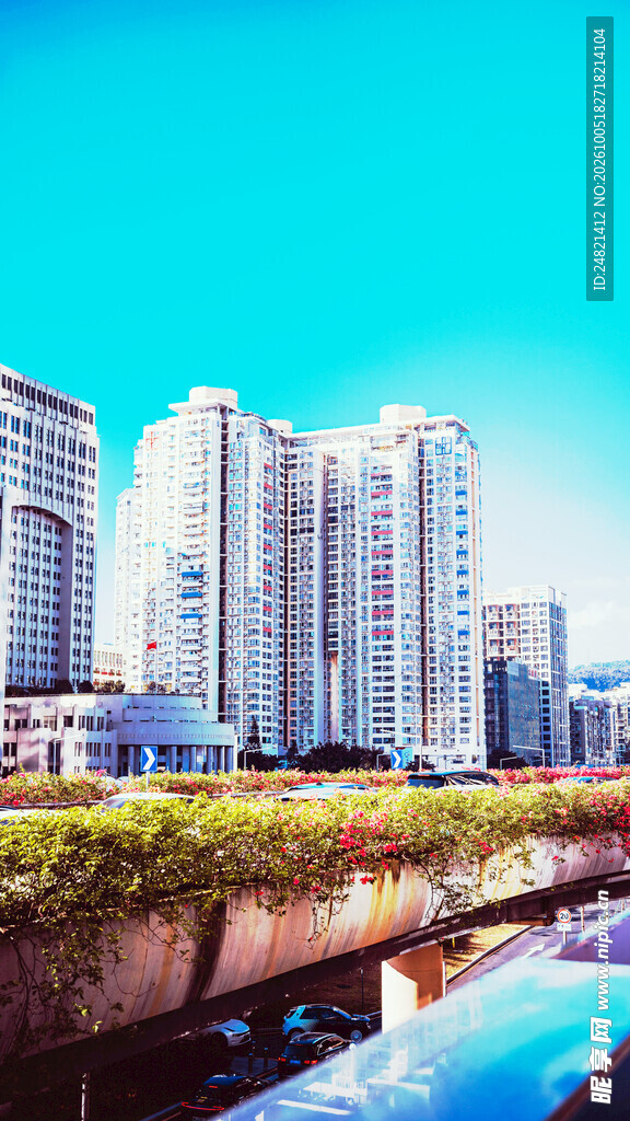 河畔城市高楼景观
