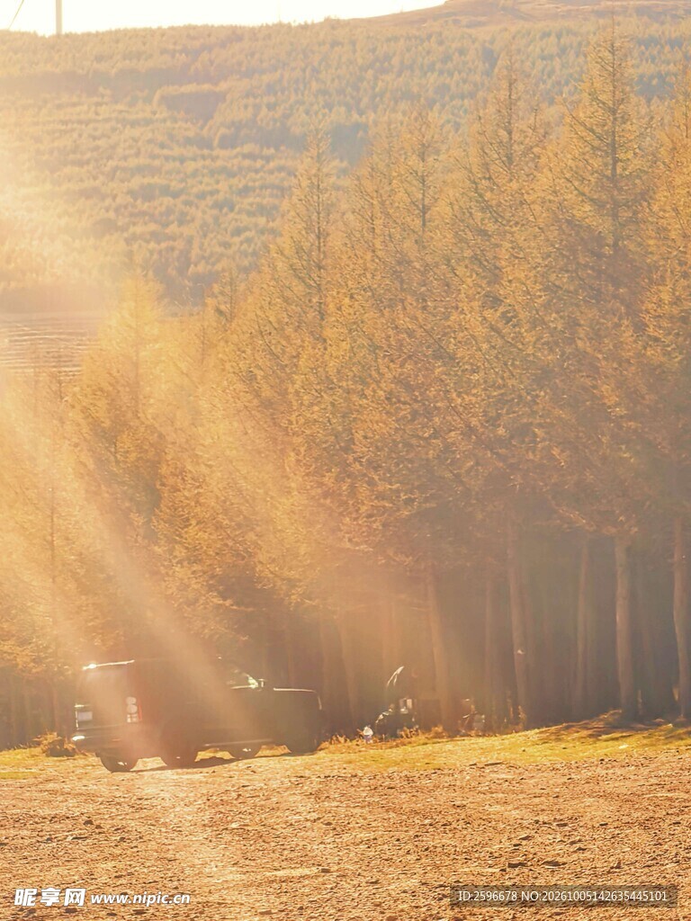 塞北林场