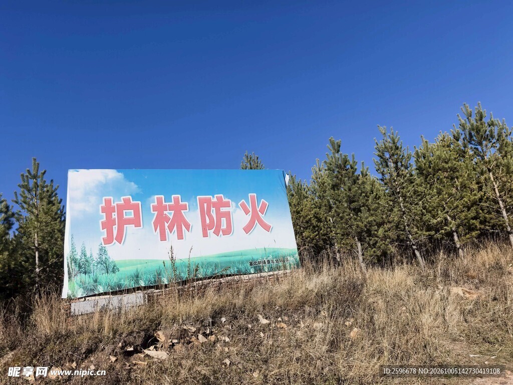 塞北林场
