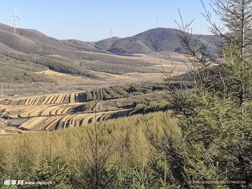 塞北林场