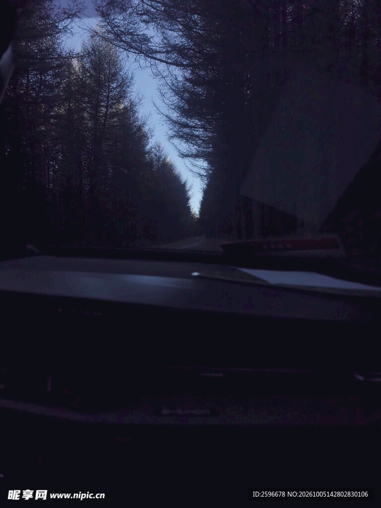 塞北林场