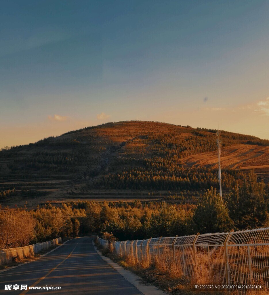 塞北林场