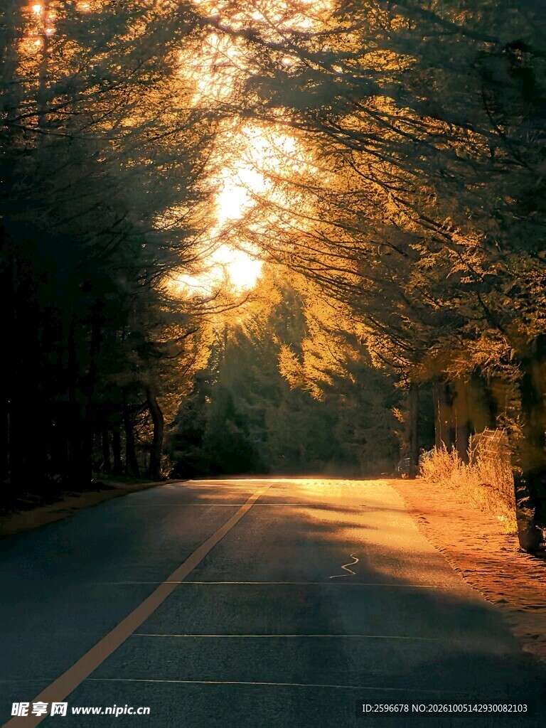 塞北林场