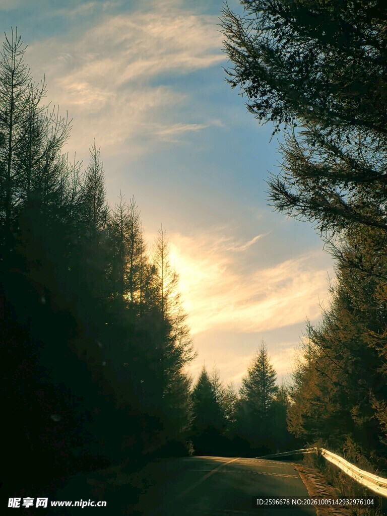 塞北林场