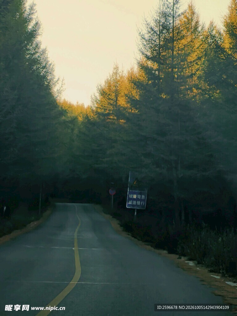 塞北林场