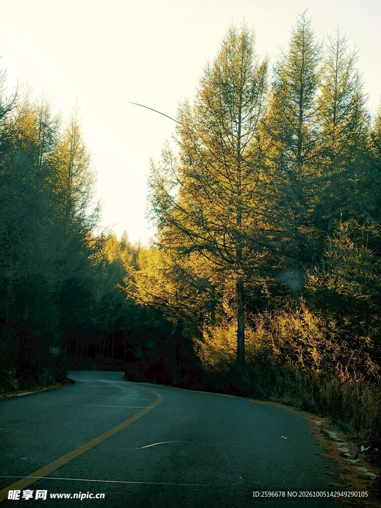 塞北林场