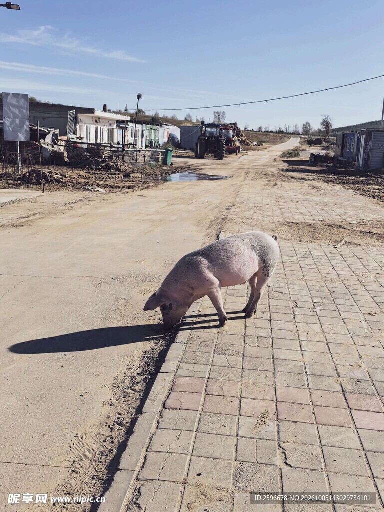 塞北林场