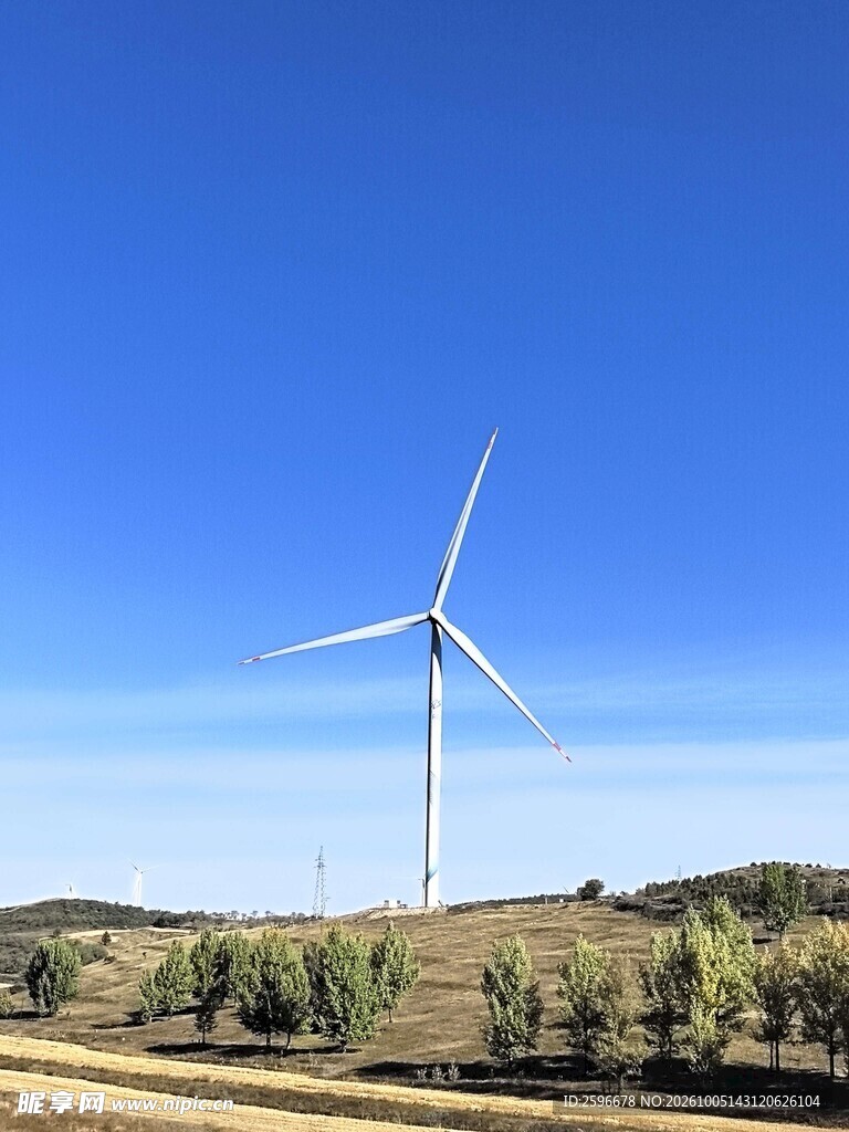 塞北林场 