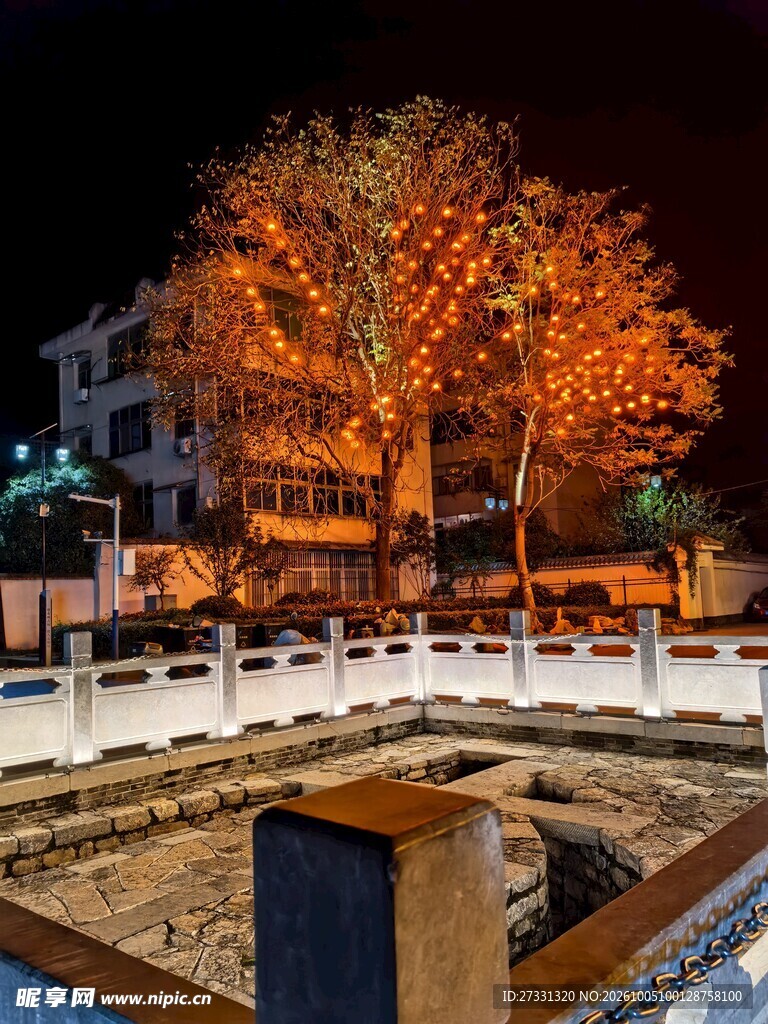 夜景亮化树木景观