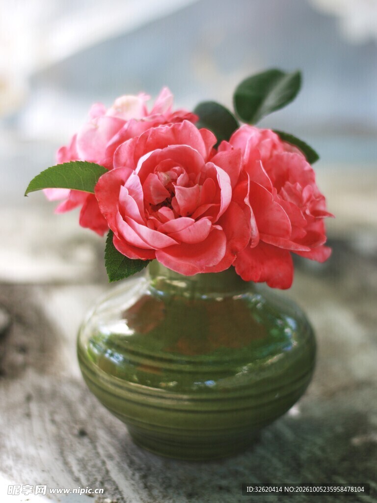 粉玫瑰花束
