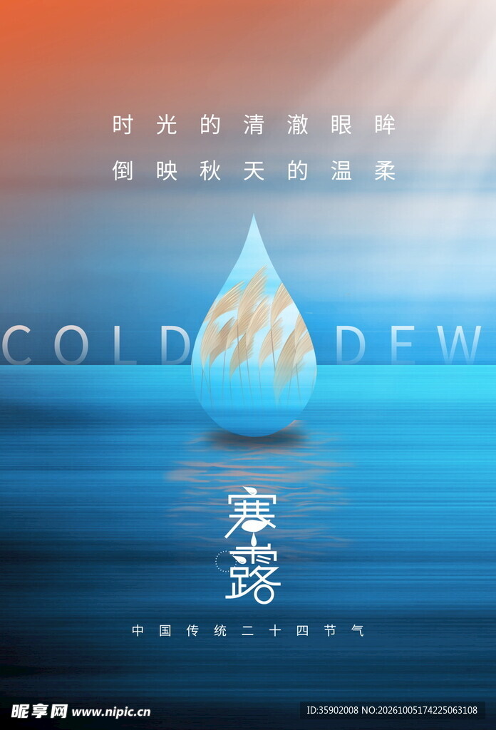 寒露节气创意海报