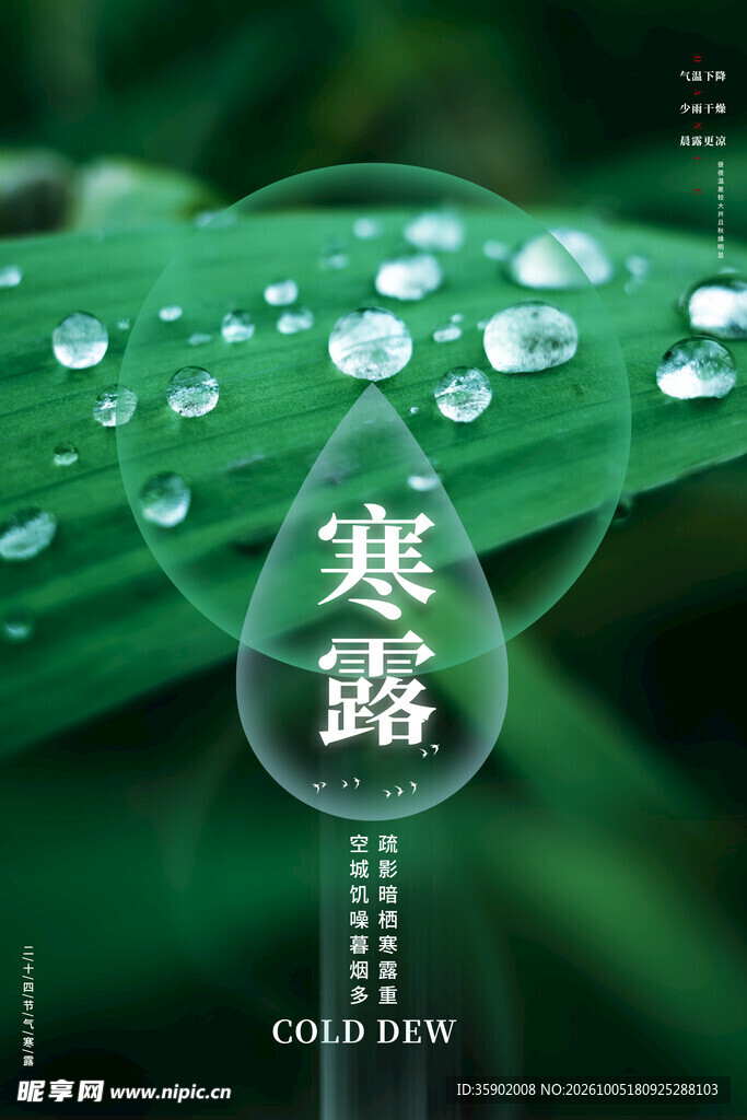 寒露节气主题海报