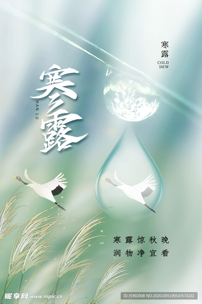寒露节气主题海报
