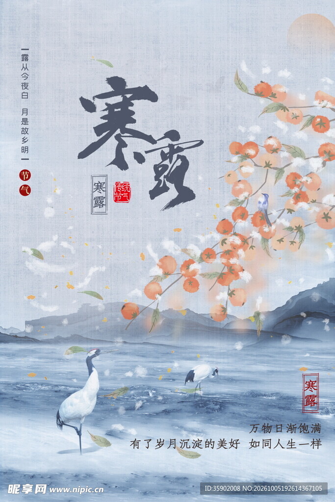 寒露国风节气海报
