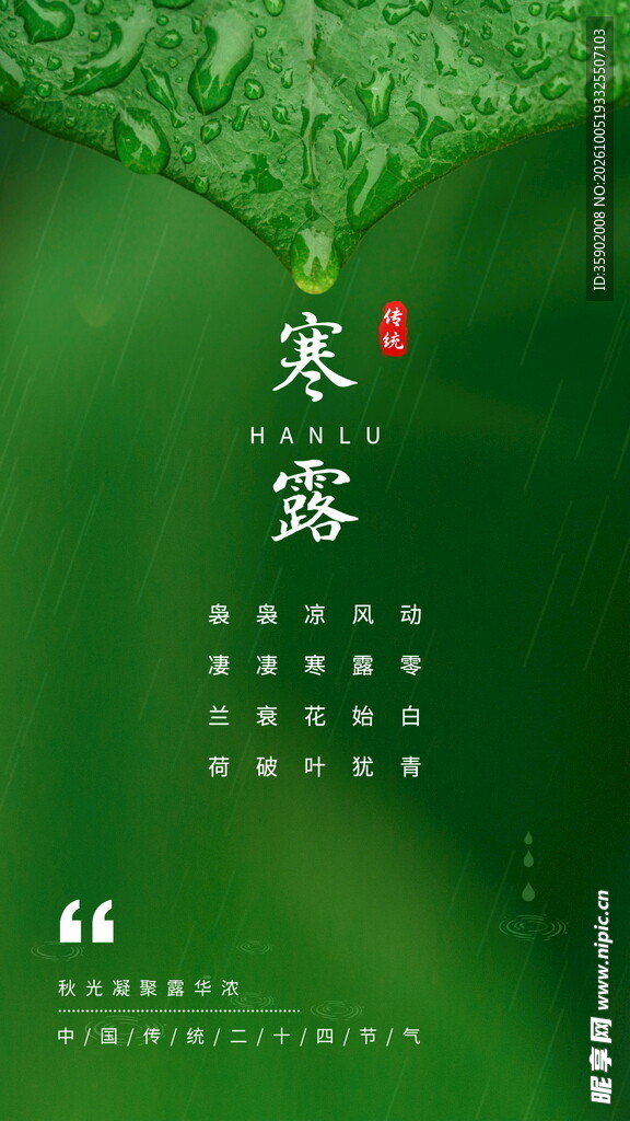 寒露节气主题海报