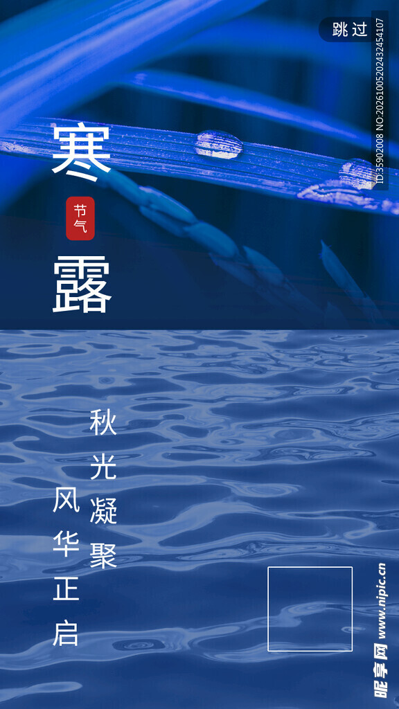 寒露节气国风海报