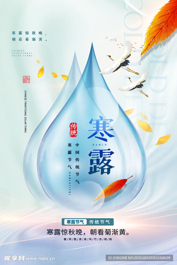 寒露节气创意海报