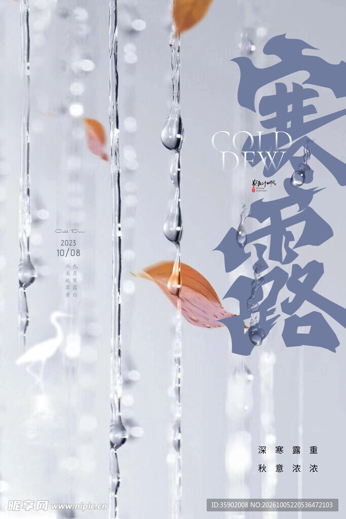 寒露节气秋雨落叶海报