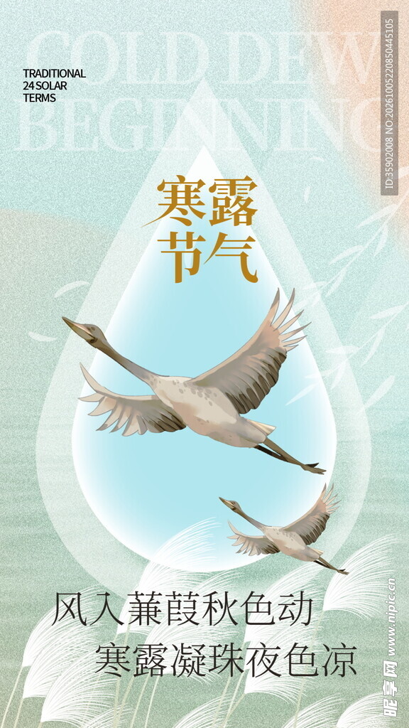 寒露节气主题海报