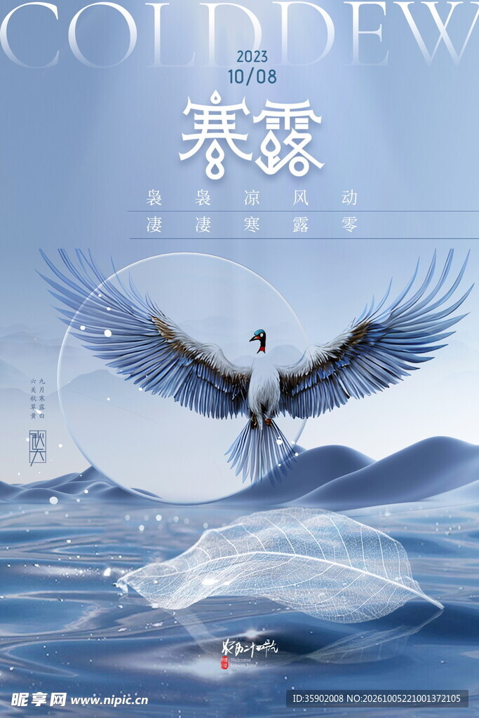 寒露节气飞鸟意境海报