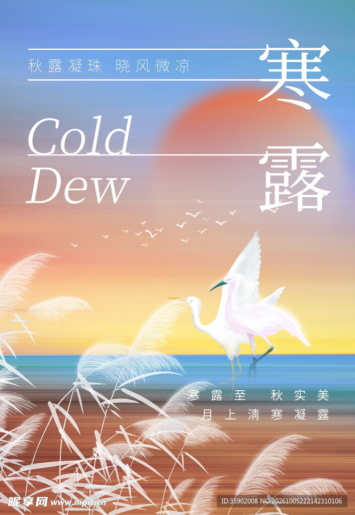 寒露节气唯美海报