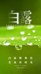 白露节气清新海报