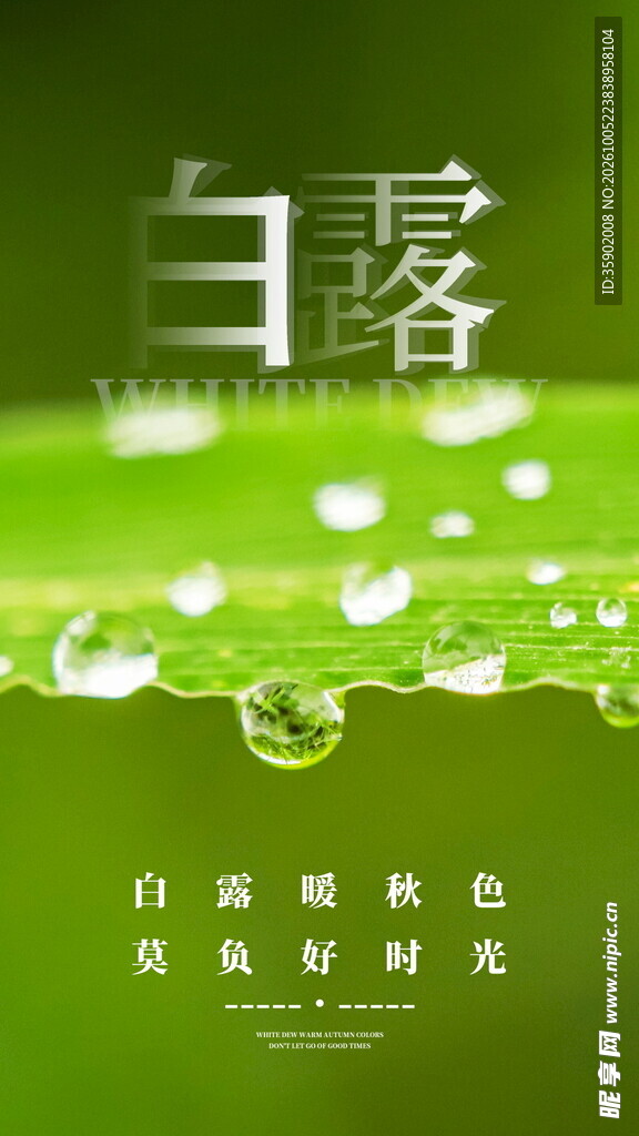 白露节气清新海报