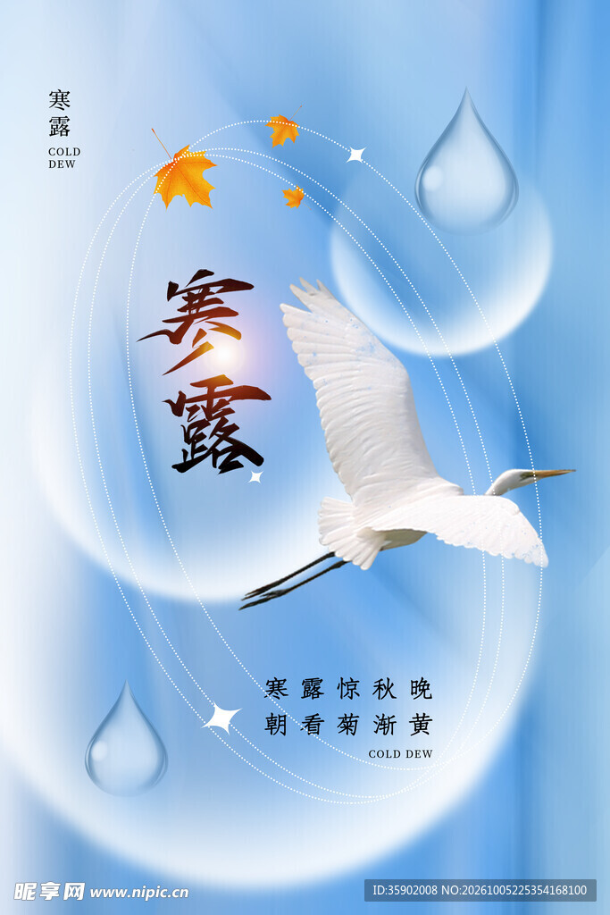寒露节气创意海报