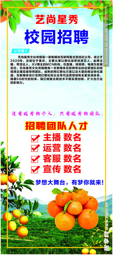 校园招聘宣传海报