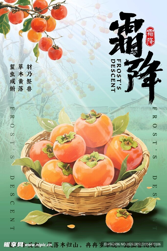 柿子霜降海报
