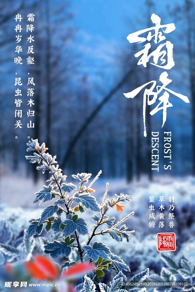 霜降节气国风海报