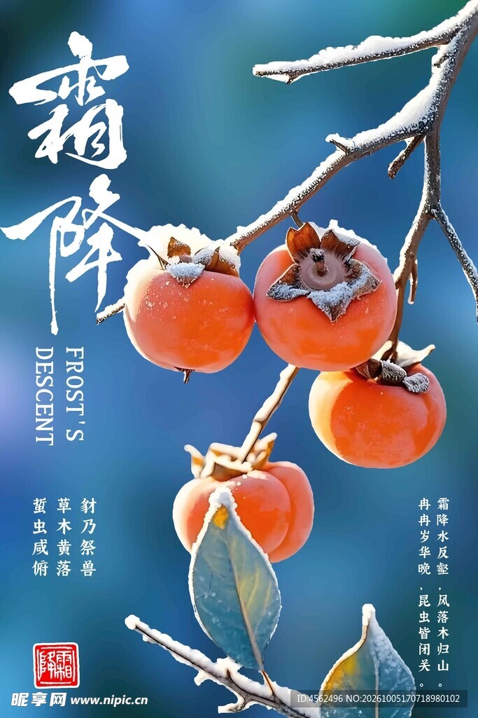 霜降柿子节气海报