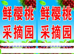 鲜樱桃采摘园宣传海报