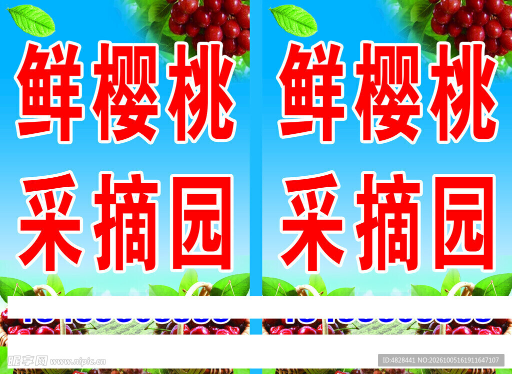 鲜樱桃采摘园宣传海报