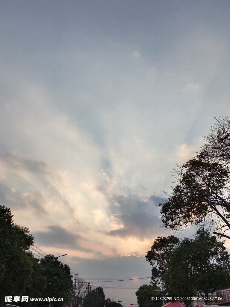 黄昏天空树木剪影