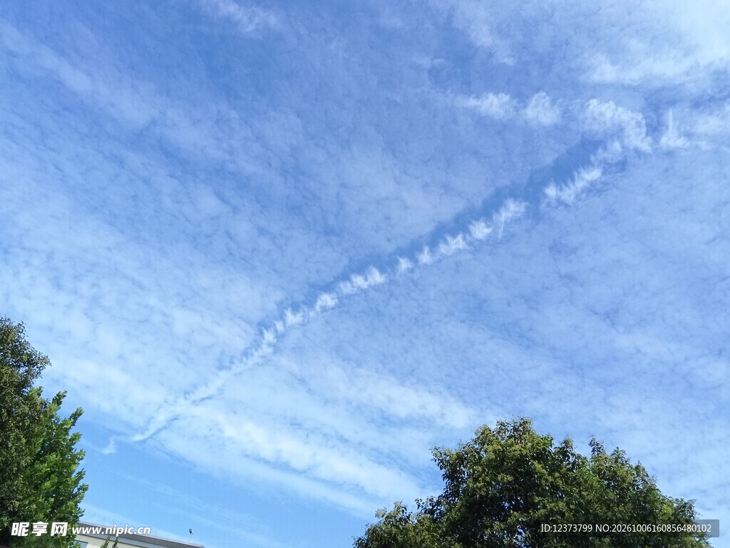 晴日蓝天绿树风光