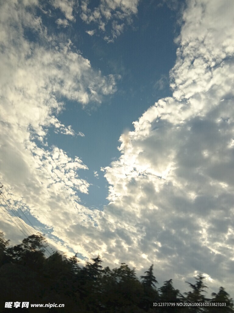 蓝天流云林梢剪影