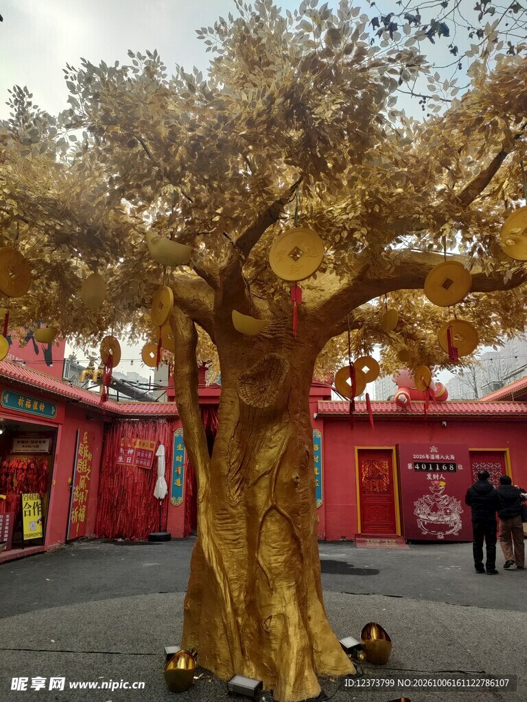 红墙前的金色古树
